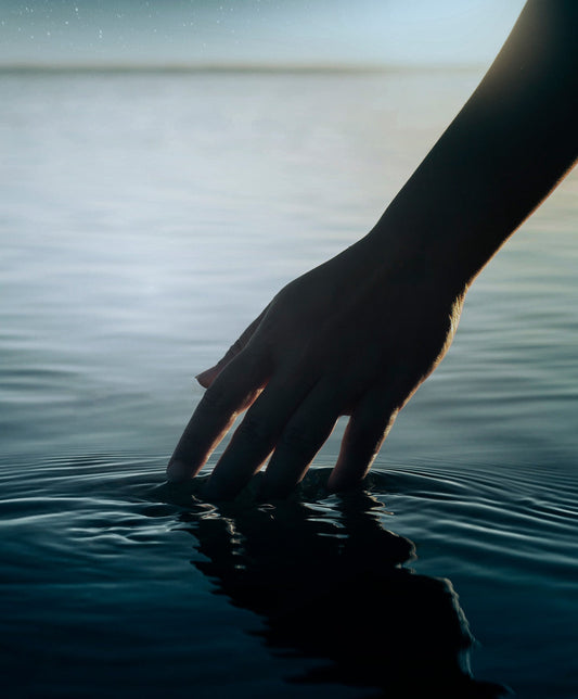 Specific Nutrients in Serrated Fucus and Irish Moss That Benefit the Skin